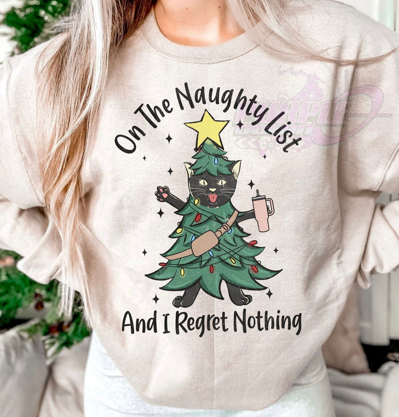 On the naughty list cat